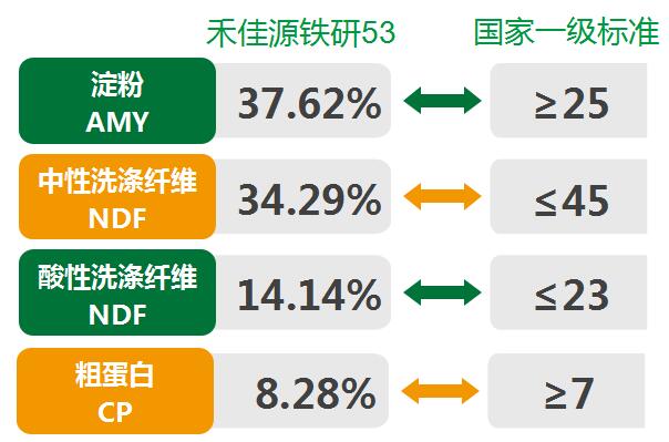 青貯玉米營養(yǎng)價值高